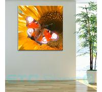 LED photo papillon mur décoration photo lumière éclairage image toile mur image chaud blanc Eglo 75037