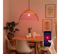 Smart Home Lampe à suspendre Cage métallique Lampe de salle à manger Rotin Lampe suspendue Bois tressé, contrôle par App, RGB LED 5W 470Lm blanc chaud froid, DxH 48x120 cm