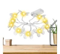 Lumières à la chaîne de fée LED | Lumières de Noël de fée intérieure - Décoration d'éclairage extérieur intérieur à base de batterie pour le jardin d'anniversaire de fête à domicile Noël