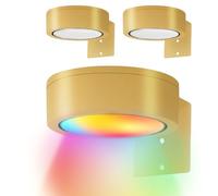 Lumières à LED pour l'art mural, lumières d'image murale | Lumière de contrôle intelligente sur le cadre d'image avec jeu de minuterie de 3 | Éclairage pour la peinture Affiches d'œuvres d'art photo