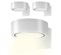 Lumières à LED pour l'art mural, lumières d'image murale - Lumières de peinture auto-off dimmables avec télécommande pour mur,Éclairage d'art pour la maison de salon à la maison salle à manger