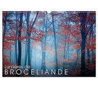 Lumières de Brocéliande (Calendrier mural 2026 DIN A3 vertical), CALVENDO calendrier mensuel: Images de la forêt de Brocéliande