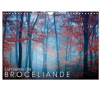 Lumières de Brocéliande (Calendrier mural 2026 DIN A4 horizontal), CALVENDO calendrier mensuel