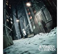 Lumières Nocturnes