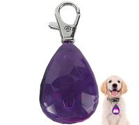 Lumières pour,Haute luminosité sécurité - Charme de Collier pour Chien,pour l'Après-midi, en Soirée, en Camping, dans Le Jardin, dans la Cour, l'Arrière-Cour