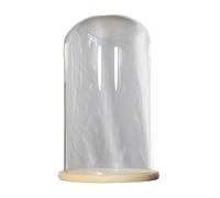 LuminaCreek Cloche dôme en verre de 23 cm de diamètre avec base en bois massif for exposer plantes, ornements et figurines. Hauteur : 30/35/40 cm.(Dia23*H30cm)