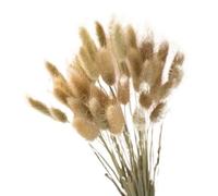 LuminaCreek Herbe de la Pampa, Grand Bouquet de 30 pièces, Fleurs séchées, roseaux véritables, décoration de Mariage, Fleurs artificielles de Noël, décoration d'intérieur(D Primary Color)