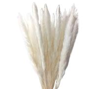 LuminaCreek Herbe de la Pampa, Grande Taille (60 cm), touffue, 20 tiges, roseaux, phragmites séchés, compositions Florales, décorations de Table for la Maison ou la Ferme.(White 60cm)