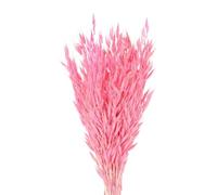 LuminaCreek Herbe de la Pampa, Lot de 25 ou 50 Grandes Fleurs séchées en véritable épi de blé, for décoration de Mariage, Bouquet Artisanal(Rose Red-25pcs)