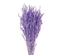 LuminaCreek Herbe de la Pampa, Lot de 25 ou 50 Grandes Fleurs séchées en véritable épi de blé, for décoration de Mariage, Bouquet Artisanal(Purple-25pcs)