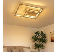 Luminaire de Salon Plafonnier Salle à Manger Argent Blanc Chaud LED Lxl 30 CM