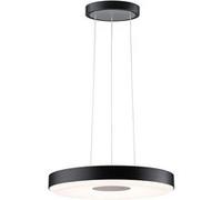 Paulmann 79517 LED luminaire suspension Puric Pane 400mm 1200lm/1400lm 22W réglable en hauteur 3-Step-Dim Noir/Gris, plastique, Métal 2700K gradable