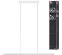 Paulmann Luminaire à suspendre Lento Pendell 79901 LED 42W 1800 lm 2700K gradable blanc dépoli