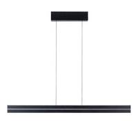 Luminaire en suspension LED Raiko RGBW+ gradable 2300lm / 370lm 19W / 6W Noir Noir G