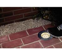 Luminaire extérieur encastrable LED intégrée Paulmann 93788 N/A 1.2 W acier inoxydable