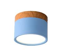 Luminaire Plafonnier LED Plafonniers De Plafond Fer Moderne Pour Salle Séjour Chambre À Coucher Enfants D'enfants Corridor Spot Light Home Fixture(Sky Blue,Cold,15W Dimming)