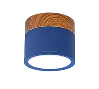 Luminaire Plafonnier LED Plafonniers De Plafond Fer Moderne Pour Salle Séjour Chambre À Coucher Enfants D'enfants Corridor Spot Light Home Fixture(Blue,Warm,15W Not dimming)