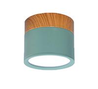 Luminaire Plafonnier LED Plafonniers De Plafond Fer Moderne Pour Salle Séjour Chambre À Coucher Enfants D'enfants Corridor Spot Light Home Fixture(Green,Warm,15W Not dimming)