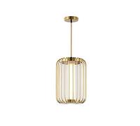 Luminaire suspendu en forme de cage à oiseaux antique Gloden, plafonnier en verre pour îlot de cuisine, salle à manger, chambre à coucher, mini lustre lanterne moderne avec LED, lumière blanche