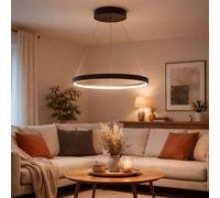 Suspension anneau rond lampes LED Salon suspendu Moderne, en métal noir mat opale, 1x LED 19W 800Lm blanc chaud, DxH 38,5x120cm