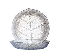 Luminarc 10365 Aspen Lot de 6 Assiettes Creuses 20,5 cm Verre Transparent