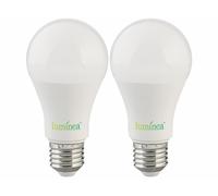 Luminea : 2 ampoules LED E27 / 11 W / 1050 lm / 6500 K avec capteur d'obscurité G