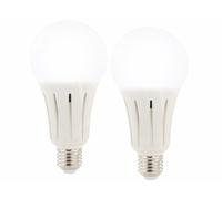 Luminea 2 ampoules LED E27 High Power 23 W - 2452 lm - Blanc lumière du jour