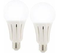 Luminea 2 ampoules LED E27 High Power 23 W - 2452 lm - Blanc lumière du jour