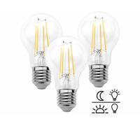 Luminea : 3 ampoules à filament LED E27 - capteur d'obscurité 8 W - 806 lm - blanc chaud Blanc chaud G
