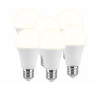 Luminea : 6 ampoules LED E27 High Power 15 W - 1400 lm - Blanc chaud Blanc chaud G