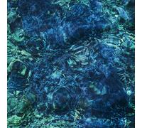 Luminescent Creatures