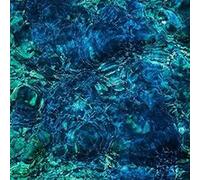 Ichiko Aoba - Luminescent Creatures [Vinyl Lp]
