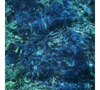 Luminescent Creatures