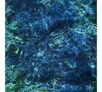 Luminescent Creatures CD