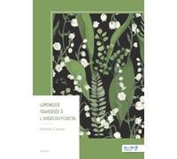 Lumineuse traversée à l'avers du fortin