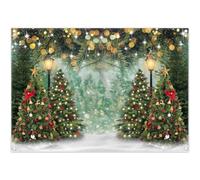 Luminora 2,1 x 1,5 m Conte de fées d'hiver Joyeux Noël Forêt de pins Toile de Fond Lampadaires Cèdre Flocon de Neige Fond Anniversaire Baby Shower Décor Fête Photo Bannière