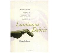 Luminous Debris - Reflecting On Vestige In Provence & Languedoc (Paper)