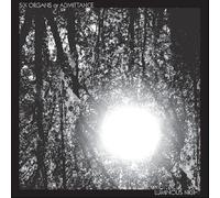 LUMINOUS NIGHT -Six Organs Of Admittance
