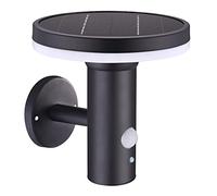 Lumisky Applique murale solaire de jardin noir LED blanc THY WALL H17cm avec détecteur de mouvement