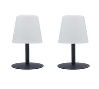 Lumisky Lot de 2 Lampe de table sans fil pied en acier gris LED blanc chaud/blanc dimmable STANDY MINI Rock H25cm