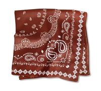 LumiSyne Bandanas Foulard Pour Homme Femme Coton Lin Sensation Motif Paisley Vintage Chaud Respirant Foulard Carré Multifonctionnels Mouchoir Fichu Bandeau Bandana Cheveux Masque Châle 68 x 68 Cm