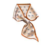 LumiSyne Foulards En Soie Étroit Pour Femme Design Facile à Passer Style Vintage Simple Maigre Et Longue Écharpe Légers Satin Petits Écharpe Fichu Décoratif Cravate Cheveux Bandeau Au Poignet Ruban