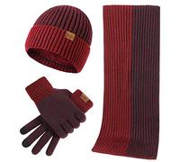 LumiSyne Hiver 3 En 1 Packs Bonnet Tricoté Écharpe Et Gants Homme Femme Mode Simple Jacquard Bicolore Foulard Longue Gants d'Écran Tactile Chapeau Beanie Laine Épaissie Douce, Rouge Taille unique