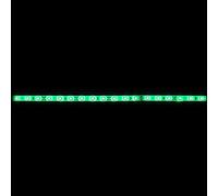 Lumonic LED Strip 1m Vert Bande LED 12V IP65 60LEDs 60 LED/m SMD2835 I LED Stripe I LED Stripe 100cm, bande LED, bande lumineuse LED