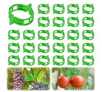 LUMOOM Lot de 200 pinces à tomates en plastique pour plantes grimpantes, tuteurs de tomates, plantes grimpantes, plantes grimpantes, plantes grimpantes (vert)