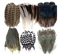 LUMOOM Lot de 48 plumes naturelles pour bricolage, chapeau de dinde, plumes de paon, attrape-rêves, boucles d'oreilles, costumes de carnaval, fête de mariage, masques de fête