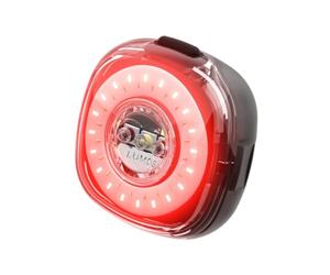 Lumos Firefly Système d'éclairage Intelligent pour vélo - Synchronisation des lumières LED Avant et arrière, luminosité personnalisée, Motif Flash, Mode Jour/Nuit, Clignotants, Feux de freinage,