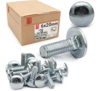 LUN FIX Boulons À Tête Ronde Bombée M6x20 mm, 1 kg, 135 Pièces