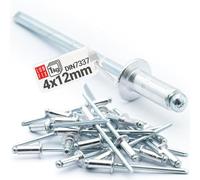 LUN FIX Rivet Pop Aluminium 4x12 mm, DIN 7337, 1 kg, Fixation Aveugle Metal Tige Acier, Rivets Pop Plaque Immatriculation, Pour Tole, Montage Atelier Carrosserie Automobile Réparation