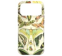Luna Motte Papillon Vintage Botanical Biology Illustration Coque pour iPhone 17 Pro Max